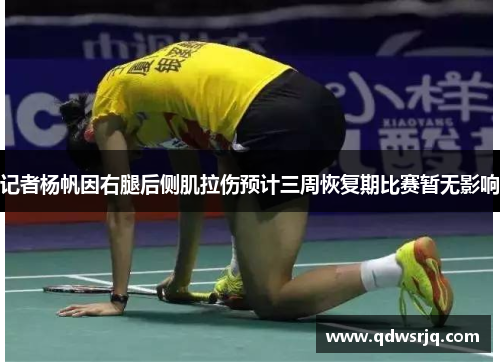记者杨帆因右腿后侧肌拉伤预计三周恢复期比赛暂无影响